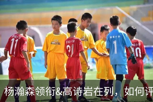 杨瀚森领衔&高诗岩在列，如何评价最新一期的集训大名单？
